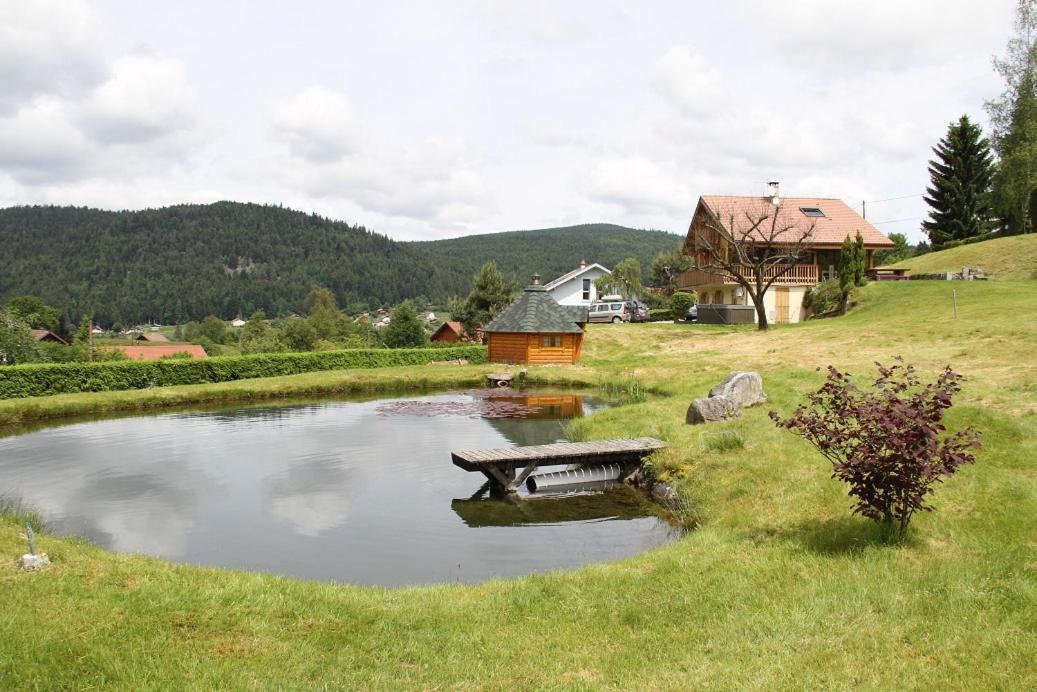 Chalet Centauree - Remy Herold Xonrupt-Longemer Ngoại thất bức ảnh